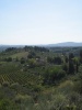 A Slice of Tuscany